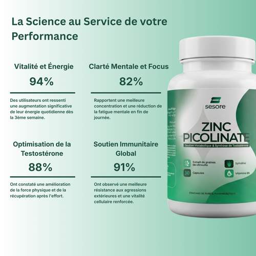 Le Protocole de Performance Quotidien pour l'Homme Moderne.